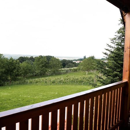 Apartma-Spa Natura Sveti Jurij ob Scavnici Kültér fotó