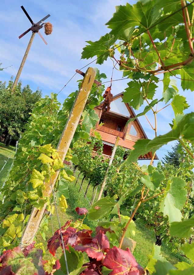 Apartma-Spa Natura Sveti Jurij ob Scavnici Kültér fotó